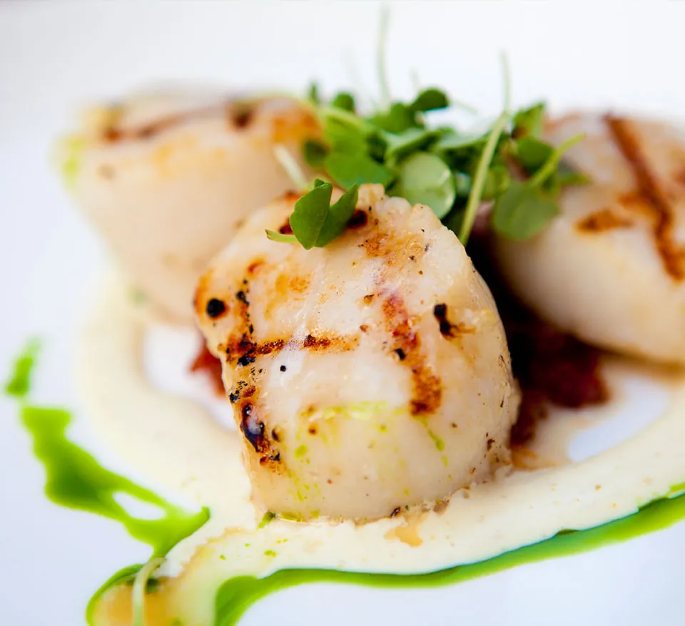 Grilled scallops with truffle